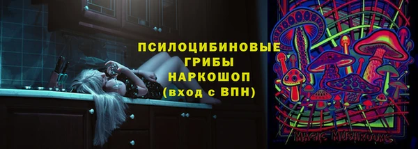 индика Лиски