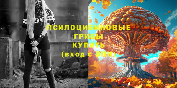 винт Лагань