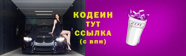 индика Лиски
