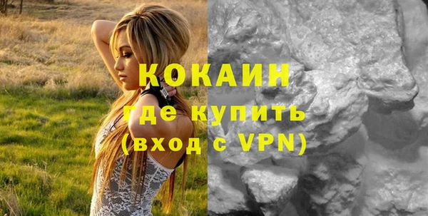 индика Лиски