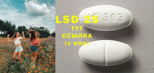 индика Лиски