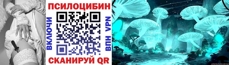 Псилоцибиновые грибы GOLDEN TEACHER  кракен маркетплейс  Можга 