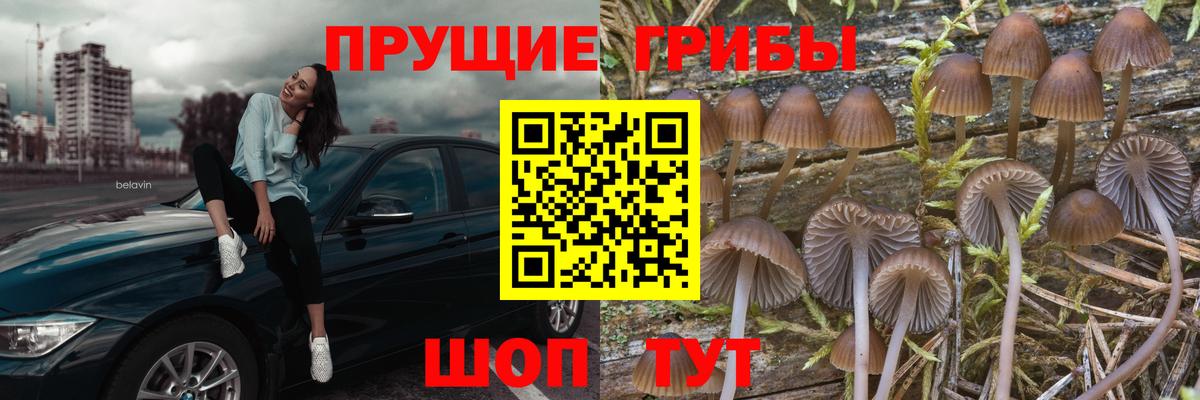 Галлюциногенные грибы GOLDEN TEACHER Можга